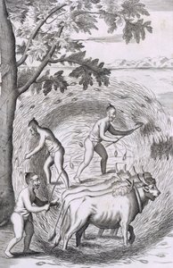 Il modo di pestare il riso, pub. 1681