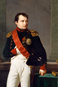 (dettaglio) di un ritratto di Napoleone Bonaparte da Robert Lefevre