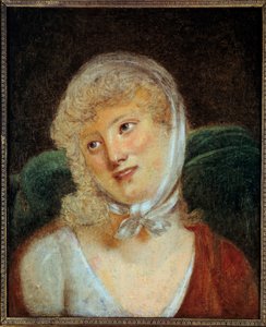Ritratto di Maria Laczinska, contessa Walewska (1789-1817) da Robert Lefevre