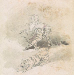 Una tigre che attacca un cavallo da Robert Mabon