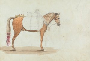 Schizzo incompiuto di un cavallo con sella elaborata