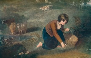 Una ragazza che raccoglie funghi da Robert Mitchell Meadows