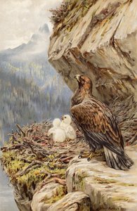Bambini della montagna