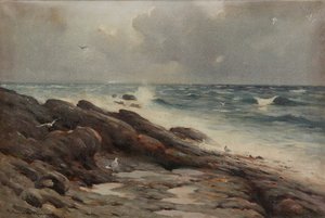 Costa rocciosa