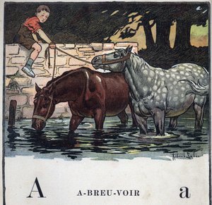 Libro per bambini 