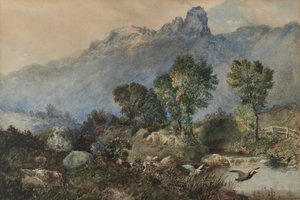 Paesaggio con anatre germane da Robert Scott Temple