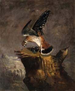 Avvoltoio e la sua preda, 1844 da Robert Seldon Duncanson