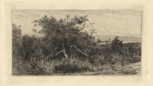 Albero nodoso da Robert Swain Gifford