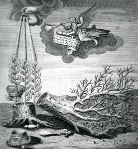 Stampa emblematica riferita all