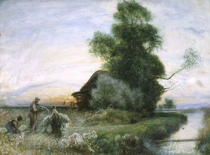 Raccolta di ramoscelli