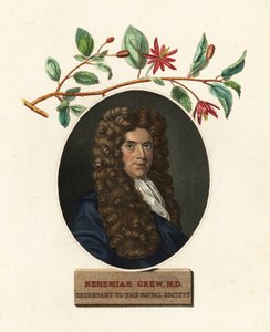 Ritratto di Nehemiah Grew, medico e botanico