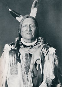 Un capo Sioux, 1912 da Robert Wilson Shufeldt