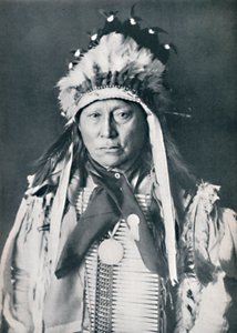 Un capo Sioux nel suo trucco di guerra, 1912 da Robert Wilson Shufeldt