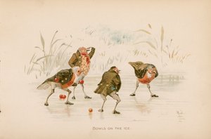 Illustrazione per The Twigs o Natale a Ruddock Hall da Robert after Dudley