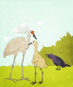 Gus Gus e il corvo