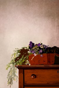 Il Comò