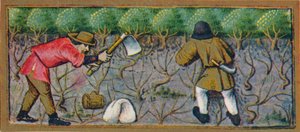 Marzo - lavoro nella vigna, XV secolo, 1939