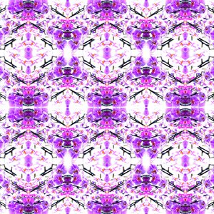 Ripetizione di orchidea