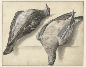 Due piccioni morti