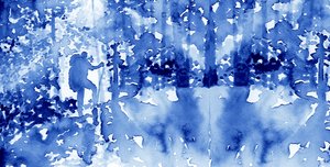 Escursionista della Foresta Blu da RodMacIver
