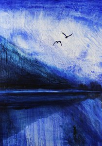Gli uccelli del lago Blue Mountain da RodMacIver