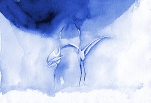 Graziosi uccellini blu da RodMacIver
