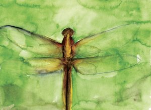 Libellula verde ad acquerello da RodMacIver