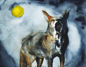 La luna del coyote ululante da RodMacIver