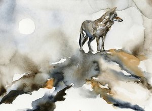 La luna del lupo solitario da RodMacIver
