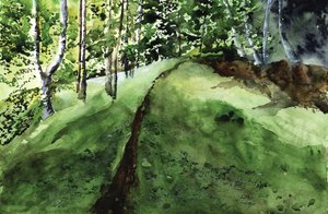 Sentiero nella fitta foresta da RodMacIver