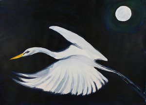 Airone bianco al chiaro di luna da RodMacIver