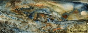 Il Passaggio del Puma da RodMacIver