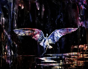 Volo notturno mistico