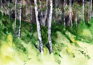 Bosco di betulle illuminato dal sole da RodMacIver