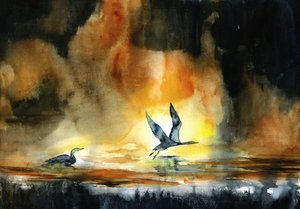 Uccelli acquatici al tramonto da RodMacIver
