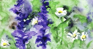 Fiori dai colori vivaci da RodMacIver
