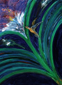 Fioritura vivace del colibrì da RodMacIver