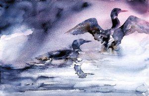 Uccelli acquatici al tramonto