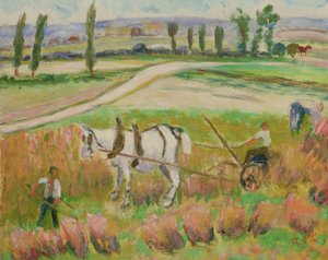 Raccolta con un cavallo bianco
