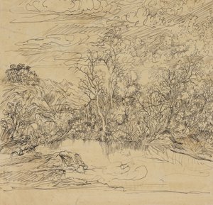 Riva di uno stagno da Rodolphe Bresdin