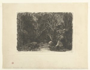 Paesaggio boschivo con ruscello e alberi pendenti da Rodolphe Bresdin