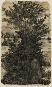 Gruppo di alberi con un villaggio in lontananza