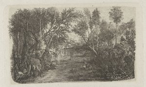 Paesaggio con ruscello e alberi sulle rive
