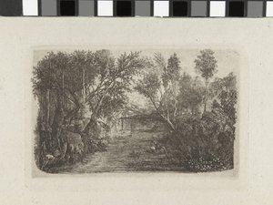 Paesaggio con ruscello e alberi sulle rive da Rodolphe Bresdin