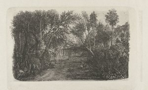 Paesaggio con ruscello e alberi sulle rive da Rodolphe Bresdin