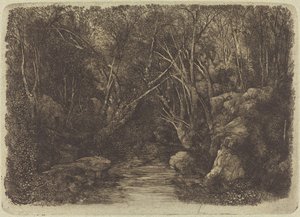 Il ruscello nel bosco da Rodolphe Bresdin