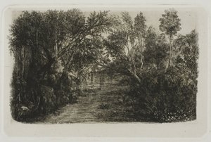 Il ruscello da Rodolphe Bresdin