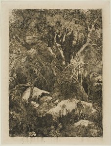 La foresta di Fontainebleau da Rodolphe Bresdin
