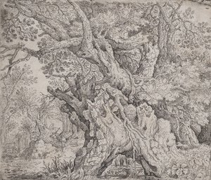 Albero nodoso, ca. 1608-09