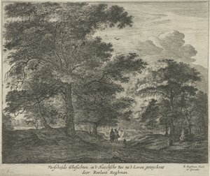 Sentiero nel bosco dell